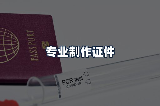 专业制作证件